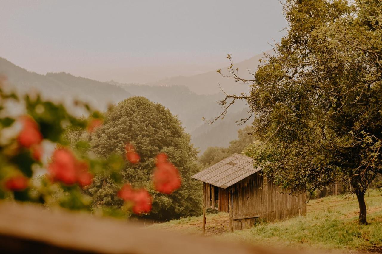Vila Almhaus Kochjosel Garanas Exteriér fotografie